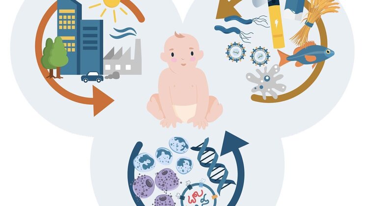 exposome-hedimed-baby-2.jpg